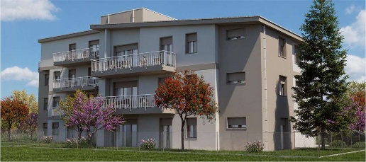 immagine annuncio 3 di 11