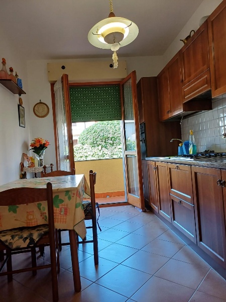 immagine annuncio 3 di 14