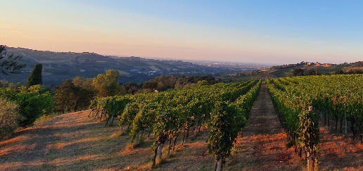 Foto Cessione attività a Borghi di 860 m² con 23 locali in vendita