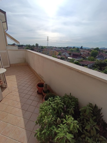 immagine annuncio 10 di 12