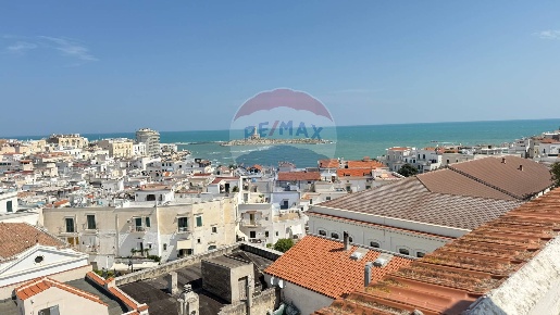 Foto Appartamento in Via Alfonso Perrone, Vieste Centro di 134 m²