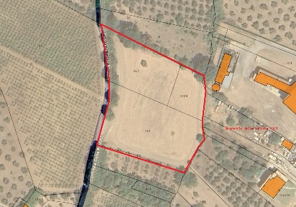 Foto Terreno agricolo in Contrada Colle Pizzuto snc, Mozzagrogna di 4970 m²