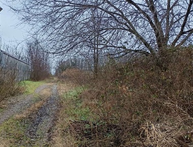 Foto Terreno edificabile in Via Villoresi, Turbigo di 1355 m² in vendita