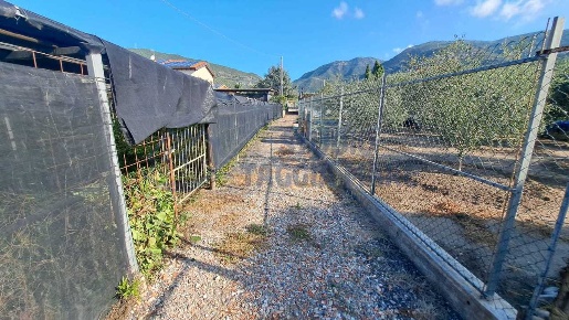Foto Terreno agricolo in Via Arginatura, Taggia Centro di 2060 m²