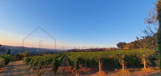 Foto Terreno agricolo a Borghi in vendita