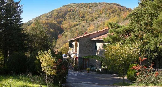 immagine annuncio 5 di 14