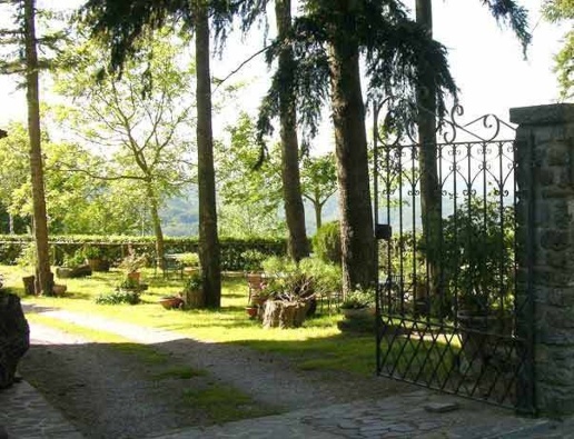 immagine annuncio 6 di 14