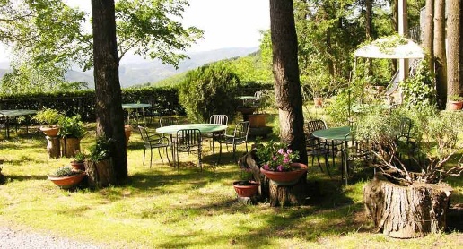 immagine annuncio 7 di 14