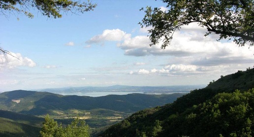 immagine annuncio 9 di 14