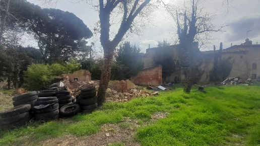 immagine annuncio 5 di 8