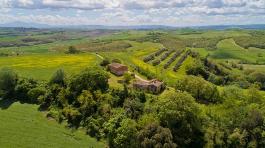 Foto Rustico in Asciano, Asciano Centro di 1067 m² con 20 locali in vendita