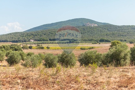 Foto Terreno agricolo in strada barucola, Capalbio di 43824 m² in vendita