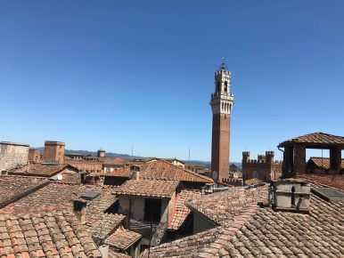 Foto Appartamento a Siena di 100 m² con 4 locali in affitto