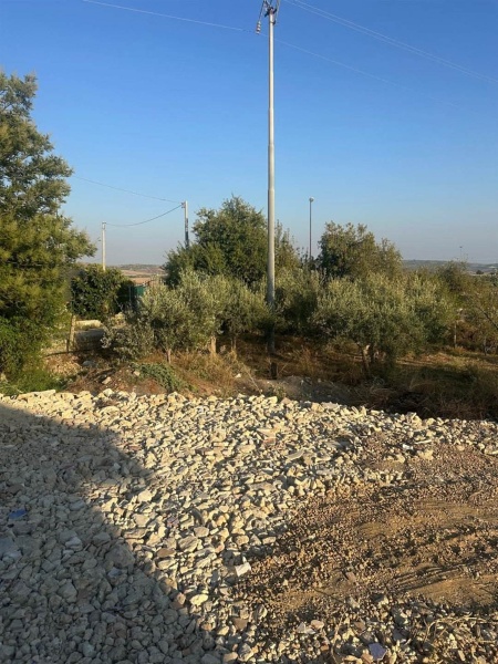 immagine annuncio 3 di 9