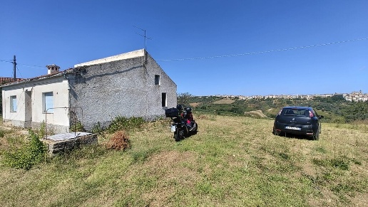 immagine annuncio 2 di 13