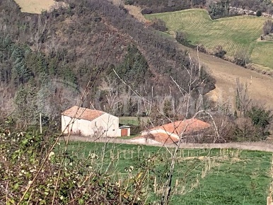 Foto Casa indipendente in Via FOLLONICA SNC, San Paolo di Jesi di 300 m²