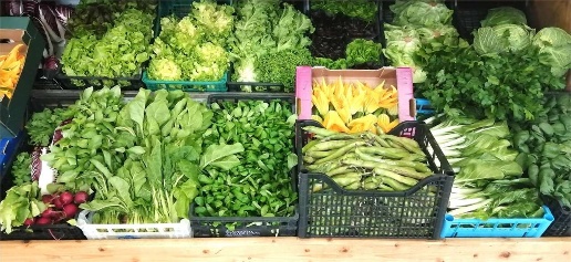 Foto Attività commerciale in Via Briantea, Bergamo Longuelo, San Paolo