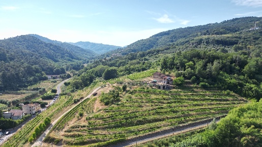 Foto Casale in Via Villa Pardini 642b, Lucca Maggiano - San Macario