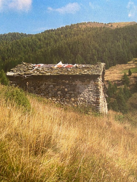 immagine annuncio 2 di 8