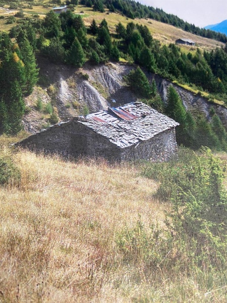 immagine annuncio 3 di 8
