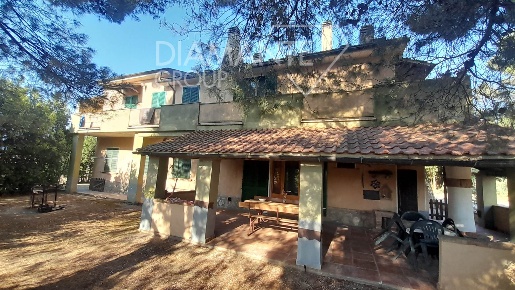 Foto Cessione attività a Cinigiano Centro di 620 m² con 15 locali