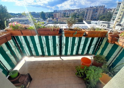 Foto Appartamento a Trieste Sant'Anna di 66 m² con 3 locali in vendita
