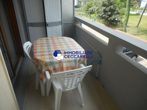 immagine annuncio 6 di 14