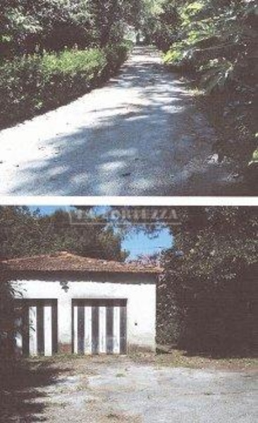 immagine annuncio 12 di 13