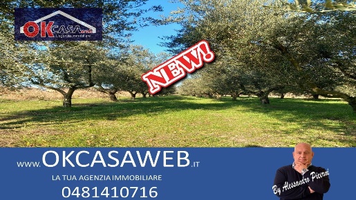 Foto Terreno agricolo in Campo da Baseball, Staranzano di 2000 m²