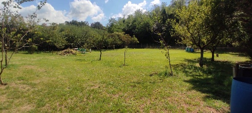 Foto Terreno agricolo in Via Vallebbiaia, Fauglia di 2000 m² in vendita