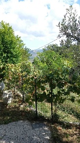 Foto Appartamento in Cà Francescone 63, Novafeltria di 85 m² con 4 locali