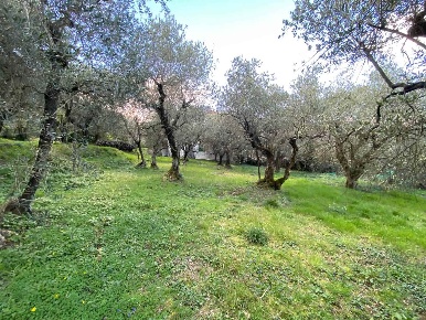 Foto Casa indipendente a Marliana Montagnana di 125 m² con 5 locali