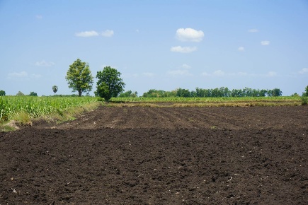 Foto Terreno agricolo a Carpi Cibeno di 33392 m² in vendita