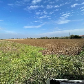 Foto Terreno agricolo in Via Calenda, Retorbido Centro di 4700 m²