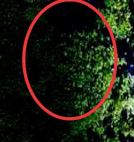 Foto Terreno agricolo in Località La Zollera di Sopra, San Leo Centro
