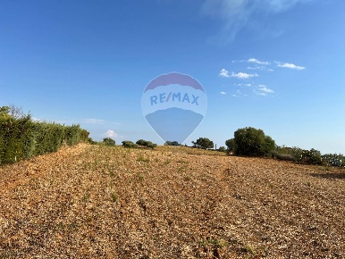 Foto Terreno agricolo in Via Gianbattista Tiepolo, Caltagirone di 19730 m²