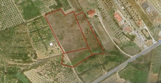 Foto Terreno agricolo in CONTRADA TORRE, Ribera di 13910 m² in vendita