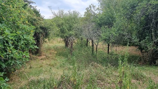 immagine annuncio 11 di 13