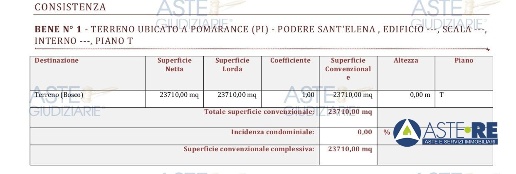 immagine annuncio 7 di 10