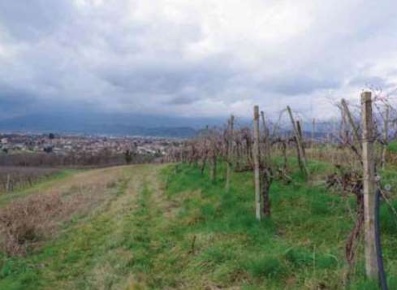 Foto Terreno agricolo in Via Canova, Susegana Centro in vendita