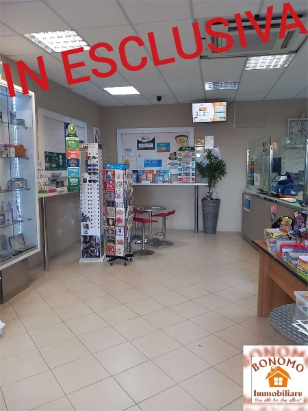 immagine annuncio 4 di 6
