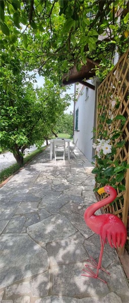 immagine annuncio 4 di 6