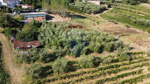 Foto Terreno agricolo in Via Cerretana, Vinci Toiano di 20000 m² in vendita
