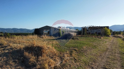 Foto Terreno agricolo in Via San Pantaleo, Vinci di 15000 m² in vendita
