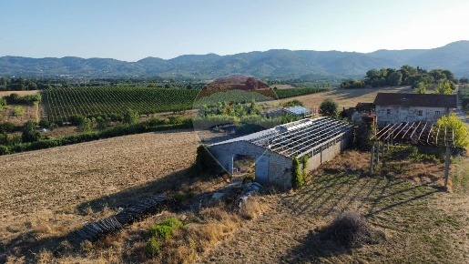 Foto Terreno agricolo in Via San Pantaleo, Vinci di 15000 m² in vendita