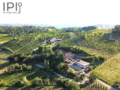 Foto Villa singola in regione bagnario, Strevi di 600 m² con 23 locali