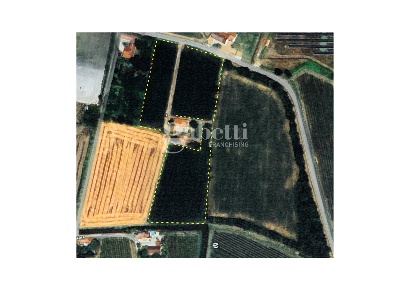 Foto Terreno agricolo a Conselve di 15503 m² in vendita