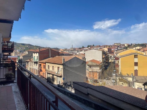 immagine annuncio 7 di 14