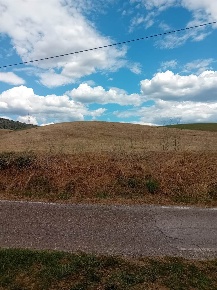 Foto Terreno agricolo a Cinigiano di 216 m² in vendita