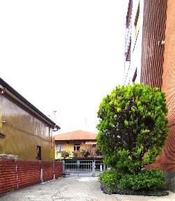 Foto Appartamento a Cinisello Balsamo Bellaria di 90 m² con 3 locali